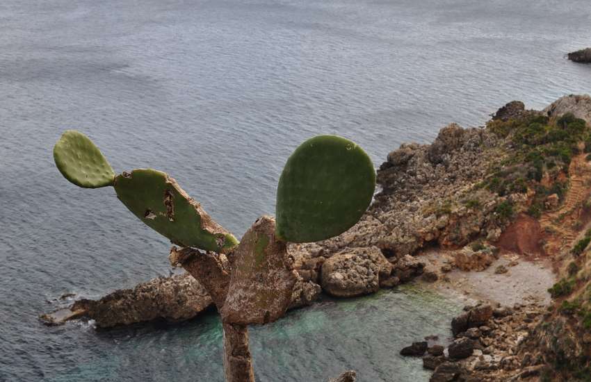 Trekking - Riserva dello Zingaro
Le cale della riserva dello zingaro