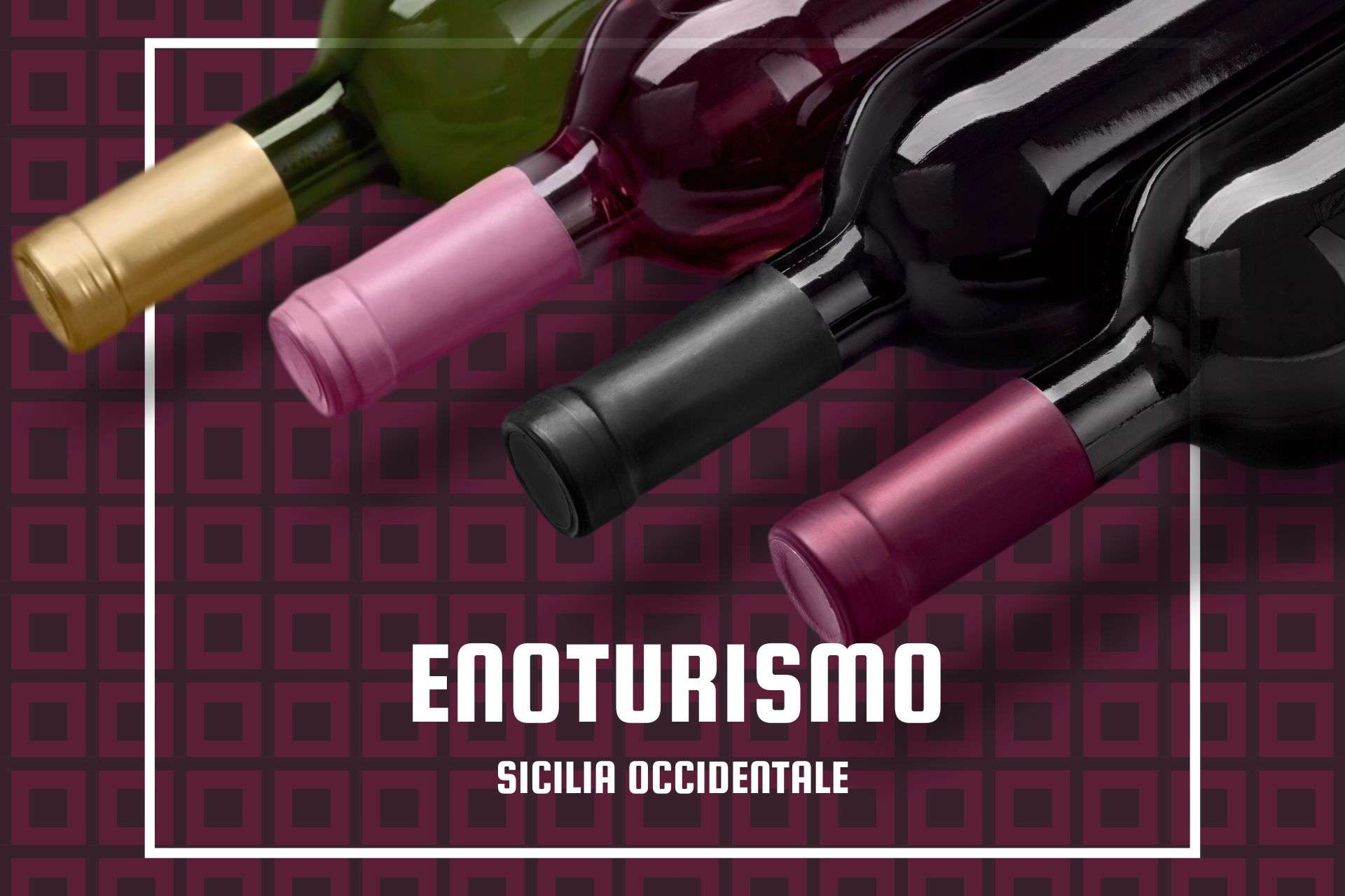 Esplorando l'Enoturismo nella Sicilia Occidentale Alla Scoperta di Marsala e dintorni