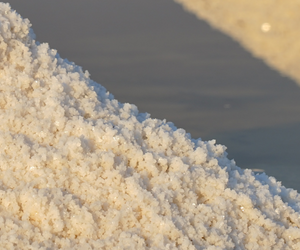 Le Saline Genna a Marsala: Un Paradiso di Natura e Tradizione