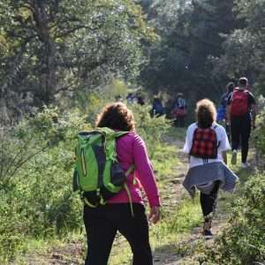 sicilia-occidentale-marsala-mini-trekking-di-capodanno