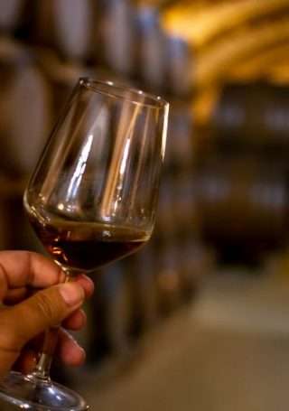 Marsala le migliori esperienzevisita in cantina