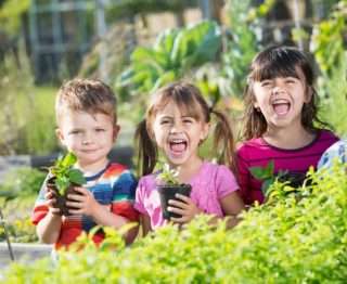 Laboratorio per giardiniere bimbi