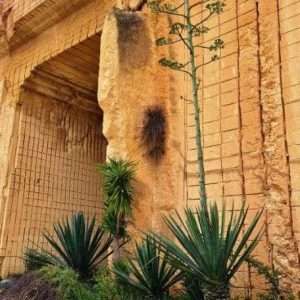 Marsala escursione il Parco delle Cave