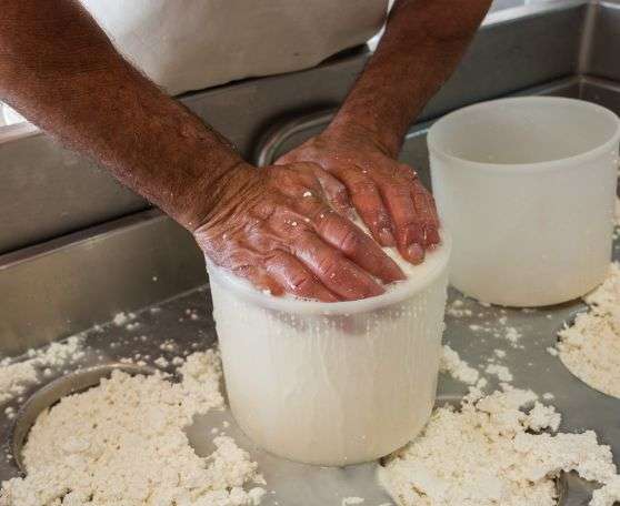 Marsala esperienze ricotta e il pastore