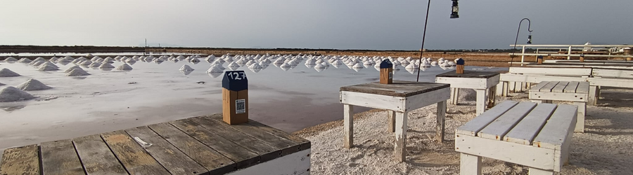 Le Saline Genna a Marsala: Un Paradiso di Natura e Tradizione