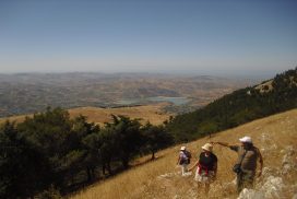 i-monti-sicani5-Monte-delle-Rose