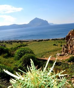 Tour individuale Macari e Sicilia occidentale