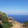 Trekking Isole Eolie da Salina