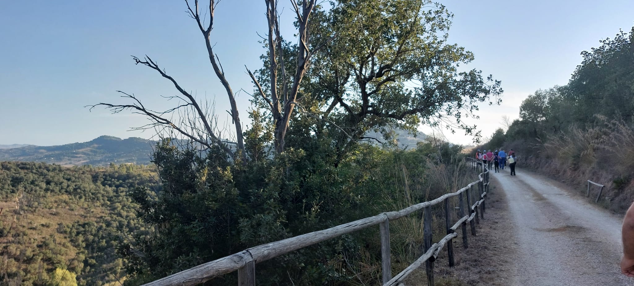 I colori della natura trekking sensoriale nel Bosco di Angimbe
