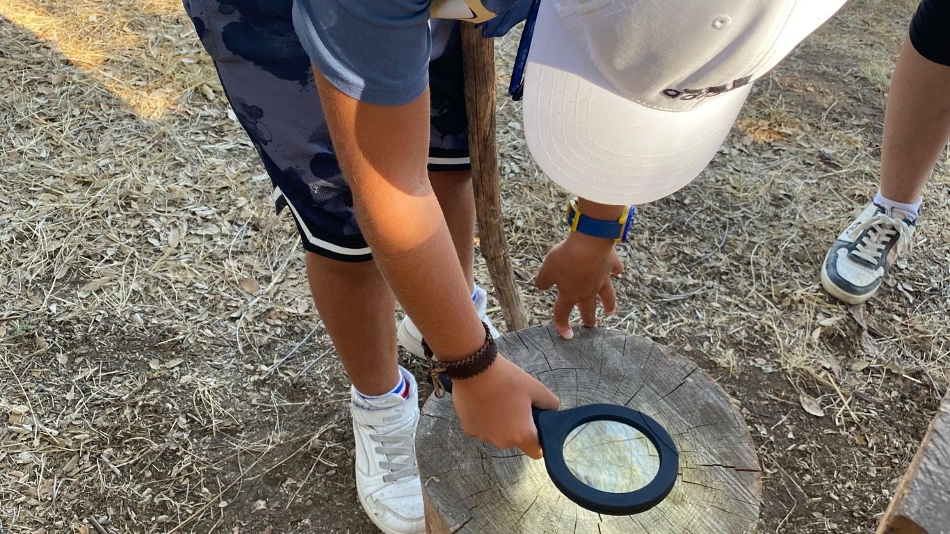 I colori della natura trekking sensoriale nel Bosco di Angimbe