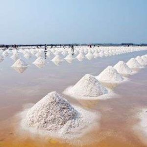 Sicilia Marsala salinaro per un giorno